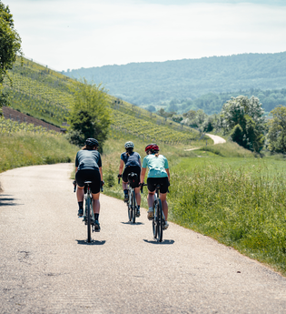 Hügel-Pass "Lerchenbühlhof" | © Saddle Stories