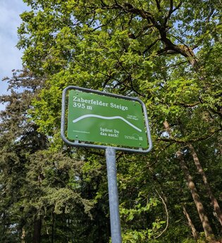 Hügel-Pass Zaberfelder Steige auf 395 Metern im Wald bei Zaberfeld