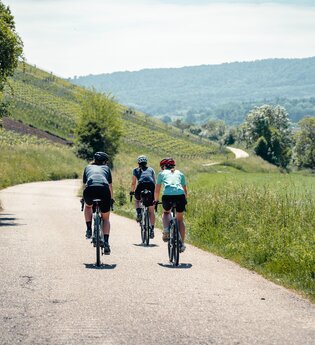 Hügel-Pass "Zaberfelder Steige" | © Saddle Stories