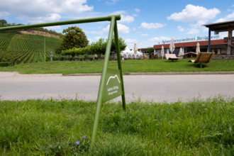 Hügel-Pause mit Aussicht: Dein Rad parkt im Land der 1000 Hügel, während Sonne, Weinberge und Genussmomente rund um die Felsengartenkellerei warten. | © Kraichgau-Stromberg Tourismus e.V.