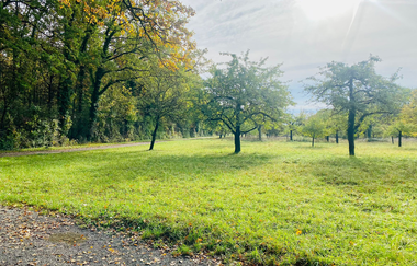 Hügelsofa Ausblick bei Besigheim | © Stadt Besigheim