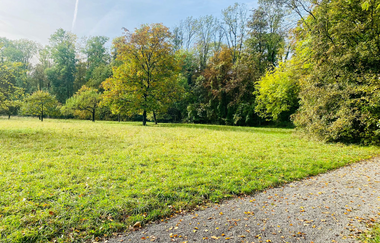 Hügelsofa Ausblick bei Besigheim | © Stadt Besigheim