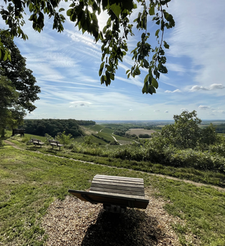 Hügelsofa bei Brackenheim | © Stadt Brackenheim