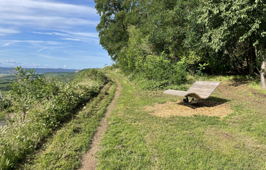 Hügelsofa bei Brackenheim | © Stadt Brackenheim