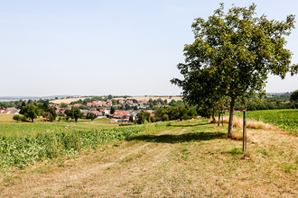 Bauerbacher Wanderwege | © Thomas Rebel für Stadt Bretten