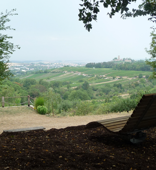 Hügelsofa bei Eppingen | © Stadt Eppingen