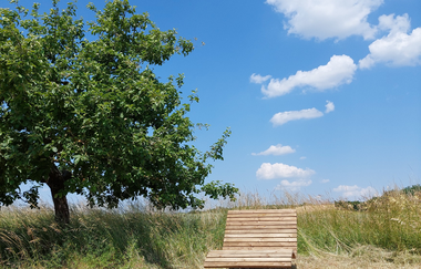 Hügelsofa bei Kraichtal-Menzingen | © Stadt Kraichtal