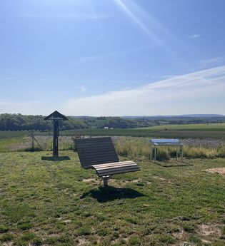 Hügel-Sofa bei Kraichtal-Münzesheim | © Stadt Kraichtal