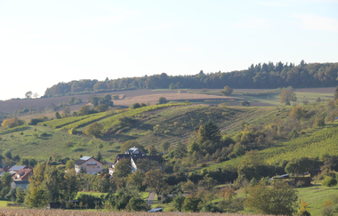 Hügel-Sofa bei Kraichtal-Neuenbürg | © Stadtmarketing Kraichtal