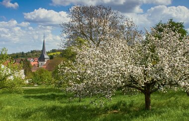 Hügel-Sofa bei Kraichtal-Oberacker | © Stadtverwaltung Kraichtal