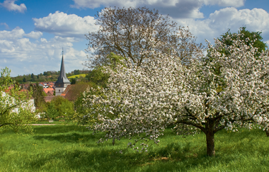 Hügel-Sofa bei Kraichtal-Oberacker | © Stadtverwaltung Kraichtal