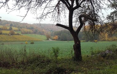 Hügel-Sofa bei Kraichtal-Oberöwisheim - an der Galgenhole | © Stadtverwaltung Kraichtal