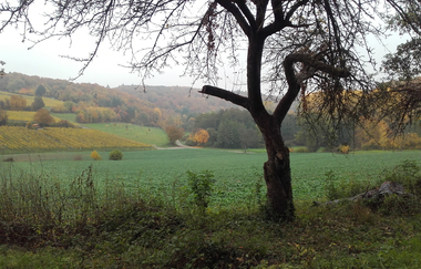 Hügel-Sofa bei Kraichtal-Oberöwisheim - an der Galgenhole | © Stadtverwaltung Kraichtal