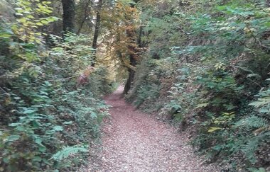 Hügel-Sofa bei Kraichtal-Oberöwisheim - an der Galgenhole | © Stadtverwaltung Kraichtal