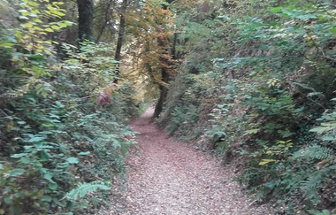 Hügel-Sofa bei Kraichtal-Oberöwisheim - an der Galgenhole | © Stadtverwaltung Kraichtal