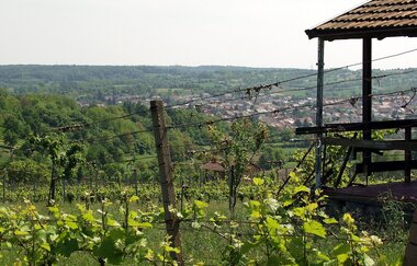 Hügel-Sofa bei Kraichtal-Unteröwisheim | © Stadtmarketing Kraichtal