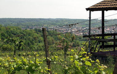 Hügel-Sofa bei Kraichtal-Unteröwisheim | © Stadtmarketing Kraichtal
