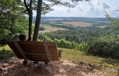 Hügel-Sofa bei Ölbronn-Dürrn - Aschberg | © Gemeinde Ölbronn-Dürrn