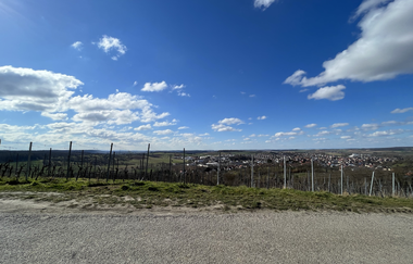 Ausblick Hügelsofa Sulzfeld | © Gemeinde Sulzfeld