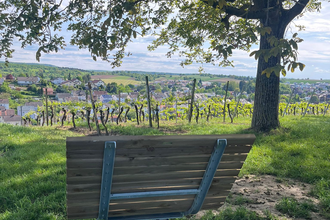 Hügel-Sofa bei Sulzfeld - Gänsberg | © Gemeinde Sulzfeld