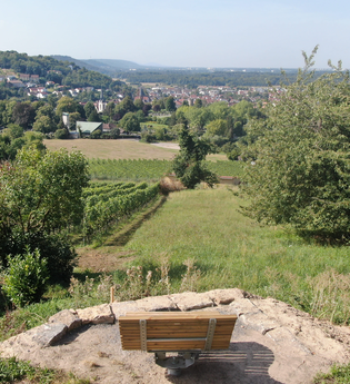 Hügelsofa bei Weingarten | © Gemeinde Weingarten