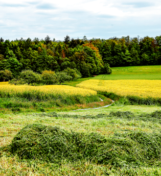 Wanderwege Bretten | © Thomas Rebel für Stadt Bretten