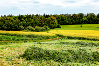 Wanderwege Bretten | © Thomas Rebel für Stadt Bretten