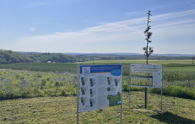 HÜGELREICH Münzesheim | © Stadt Kraichtal