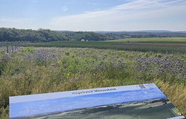 HÜGELREICH Münzesheim | © Stadt Kraichtal