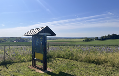 HÜGELREICH Münzesheim | © Stadt Kraichtal