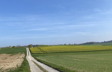 HÜGELREICH Münzesheim | © Stadt Kraichtal