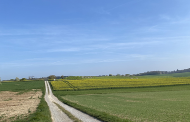HÜGELREICH Münzesheim | © Stadt Kraichtal