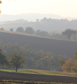 Hühnerbüschle Kraichtal-Münzesheim | © Land der 1000 Hügel - Kraichgau-Stromberg