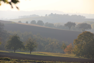 Hühnerbüschle Kraichtal-Münzesheim | © Land der 1000 Hügel - Kraichgau-Stromberg
