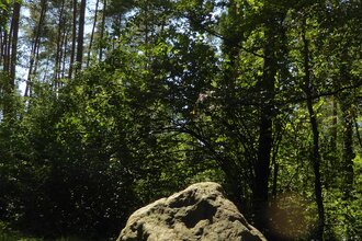 Hünenstein | © Landratsamt Rhein-Neckar-Kreis