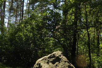 Hünenstein | © Landratsamt Rhein-Neckar-Kreis