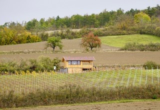 IgersWein e.V. | © IgersWein