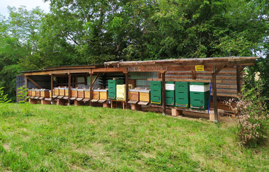 Imkerei Herrmann Kraichtal-Münzesheim