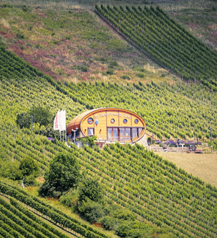 Das Ingelfinger Fass liegt malerisch in den Weinbergen im Kochertal. | © Touristikgemeinschaft Hohenlohe e. V. |  Andi Schmid