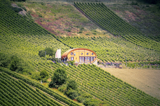 Das Ingelfinger Fass liegt malerisch in den Weinbergen im Kochertal. | © Touristikgemeinschaft Hohenlohe e. V. |  Andi Schmid