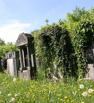 Zu sehen sind Gräber auf einer blühenden Wiese | © Stadverwaltung Crailsheim
