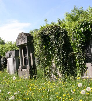 Zu sehen sind Gräber auf einer blühenden Wiese | © Stadverwaltung Crailsheim