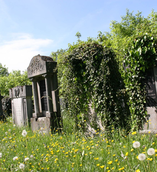 Zu sehen sind Gräber auf einer blühenden Wiese | © Stadverwaltung Crailsheim