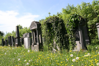 Zu sehen sind Gräber auf einer blühenden Wiese | © Stadverwaltung Crailsheim