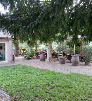 Biergarten mit Bäumen in Neckarsteinach | © Touristikgemeinschaft Odenwald e.V.