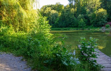 Jägersee Eppingen | © Touristikgemeinschaft HeilbronnerLand