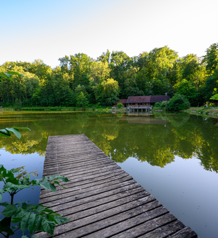 Jägersee mit Waldpfühlpfad und Grillstelle | Eppingen | HeilbronnerLand | © Touristikgemeinschaft HeilbronnerLand e.V.