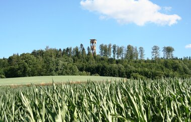 Blick auf den Altenbergturm | © Hohenlohe Schwäbisch Hall