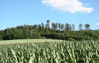 Blick auf den Altenbergturm | © Hohenlohe Schwäbisch Hall