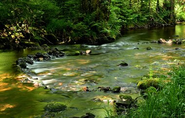 Jennifer Reisner | Naturparkführerin Stromberg-Heuchelberg | © Jennifer Reisner Fotografie